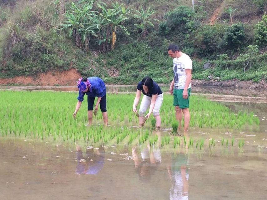 Sa Pa: 6-Hours Muong Hoa Valley Trek with Local Ethnic guide - From Sa Pa’s streets to Y Linh Ho