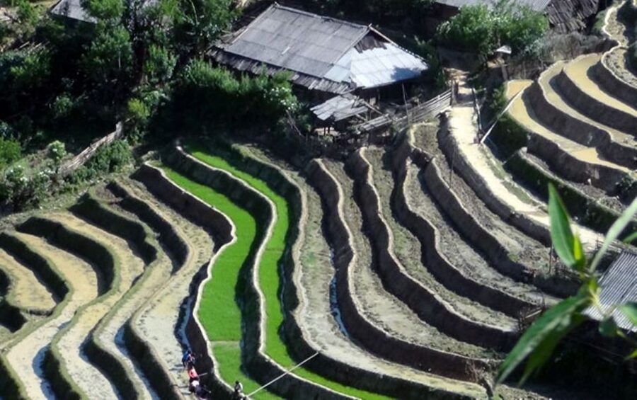Sa Pa: 6-Hours Muong Hoa Valley Trek with Local Ethnic guide - Who should take this trek