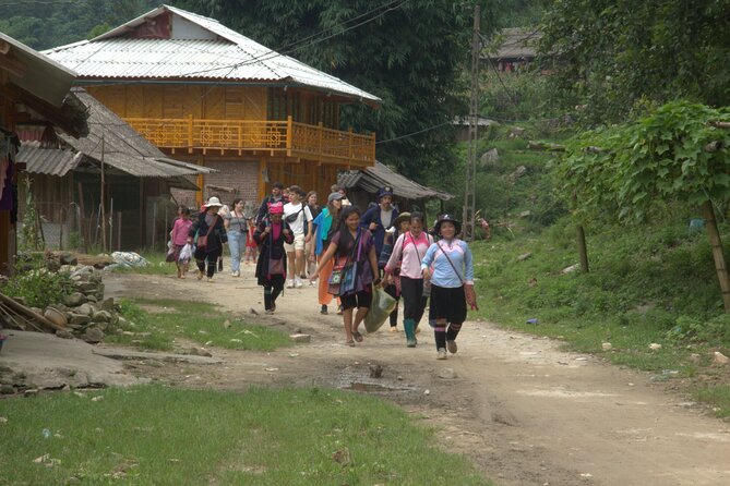 Sa Pa Full Day Trekking Tour - The return bus and the day’s timing
