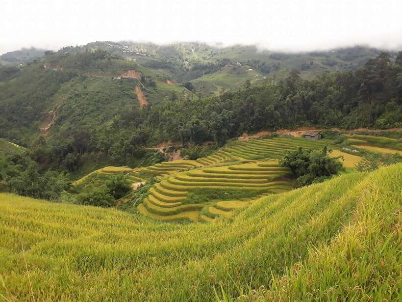 Sa Pa: Muong Hoa Valley Trek and Local Ethnic Villages - At a glance
