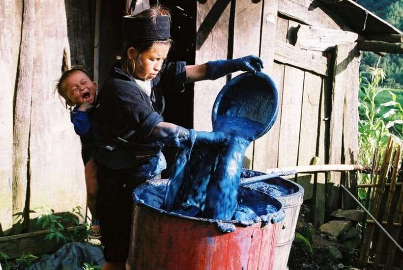Sa Pa: Muong Hoa Valley Trek and Local Ethnic Villages - Who should book this trek?