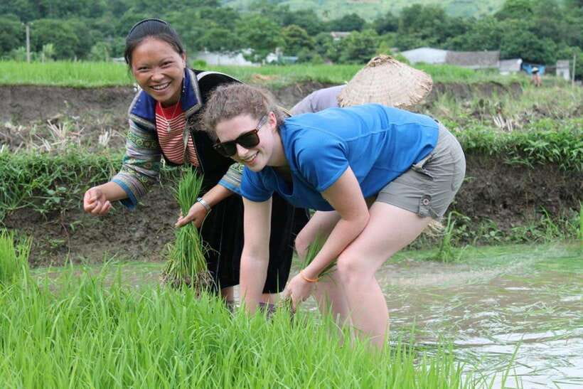 Sa Pa: Muong Hoa Valley Trek and Local Ethnic Villages - A valley route, not a viewpoint drive