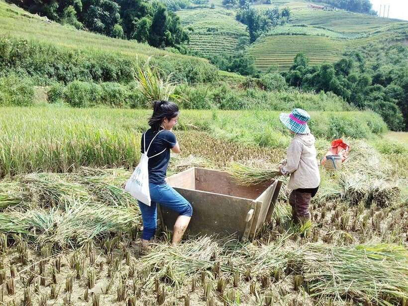 Sa Pa: Muong Hoa Valley Trek and Local Ethnic Villages - Ta Van Giay, a bridge and ancient carvings