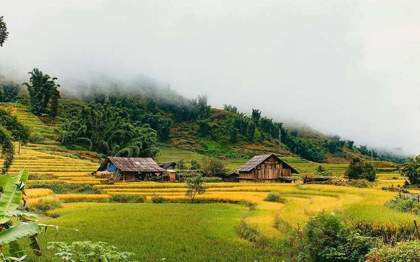 Sa Pa: Muong Hoa Valley Trek and Local Ethnic Villages - What $23 buys you