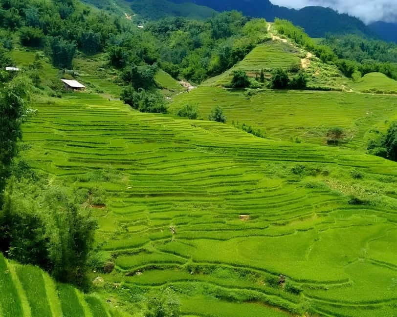 Sapa 1 Day Long Trek: Trek to Hau Thao and Sa Seng Villages - What weather does to the views