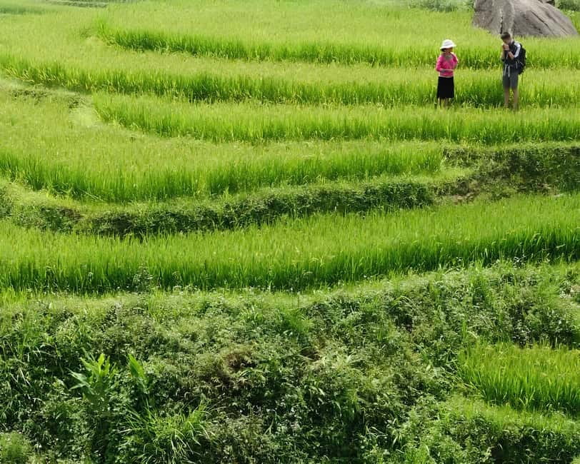 Sapa 1 Day Long Trek: Trek to Hau Thao and Sa Seng Villages - Is $24 good value?