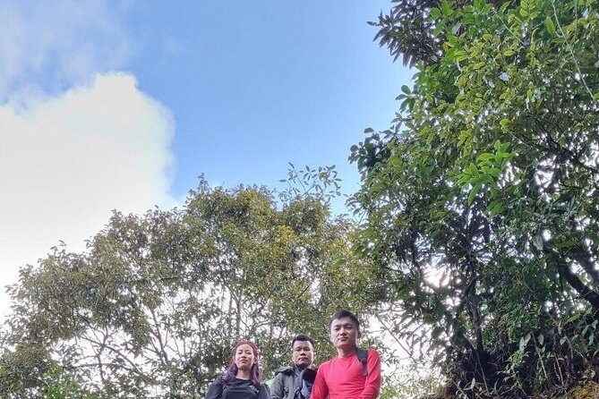 Sapa 1 day trek with local guide to the village by Comlam - Bamboo forest, village paths and the terrain underfoot