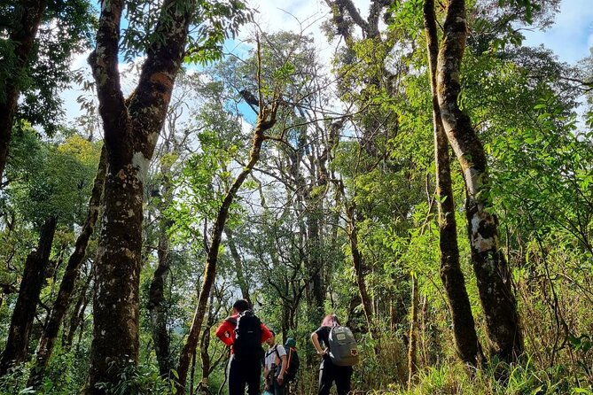 Sapa 1 day trek with local guide to the village by Comlam - Local context from guides such as May, Mai and Di