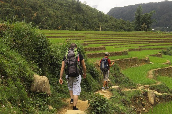 Sapa : 2-Day Trek & Heartwarming Homestay with an Ethnic Family - A guide who connects the views to local life