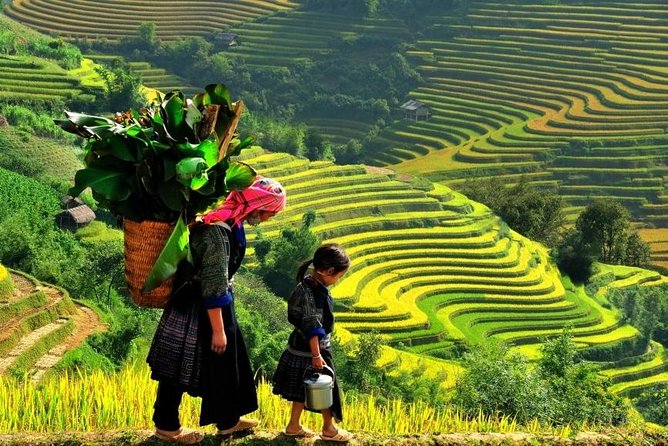 Sapa 2 Days 1 Night From Hanoi - Overnight in Hotel - FAQ