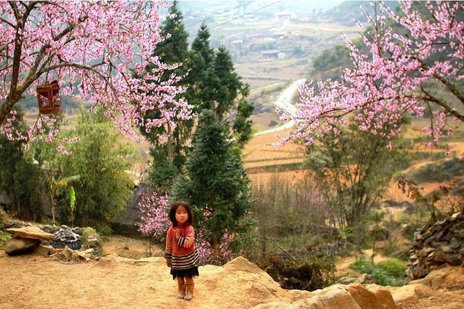 Sapa 3 Days 2 Nights Trekking Tour (1 Night In Ta Van Village, 1 Night In Hotel) - Who should book this Sapa trip?