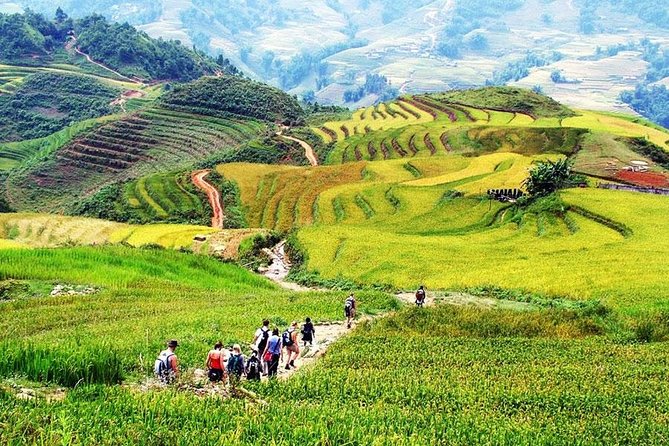 Sapa 3 Days 2 Nights Trekking Tour (1 Night In Ta Van Village, 1 Night In Hotel) - Day 2: The 12-kilometer trek to Ta Van is the main event