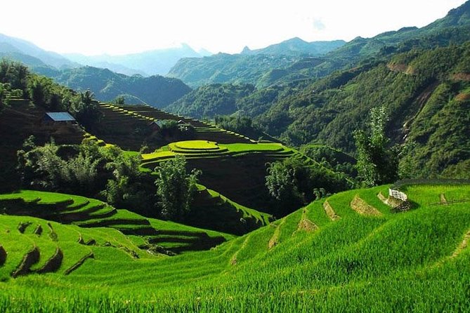 Sapa 3 Days 2 Nights Trekking Tour From Hanoi (2 Nights in Hotel) - Where the organization can wobble