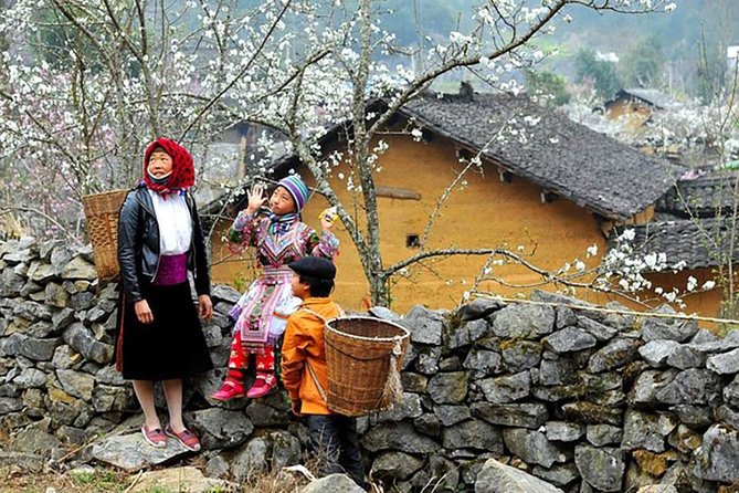 Sapa 3 Days 2 Nights Trekking Tour From Hanoi (2 Nights in Hotel) - Day two: rice terraces, Muong Hoa Stream, and Ta Van