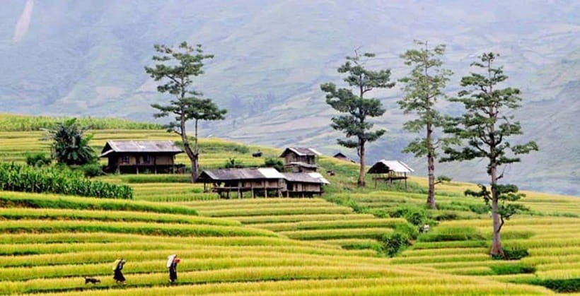 Sapa: Eco Adventure Terrace Fields and Local Villages Trek - Y Linh Ho and the Hmong villages