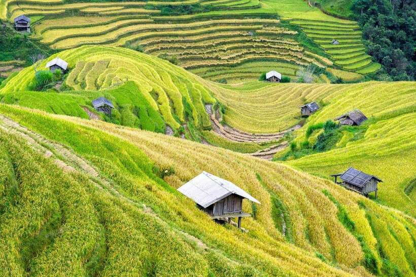 Sapa: Eco Adventure Terrace Fields and Local Villages Trek - FAQ