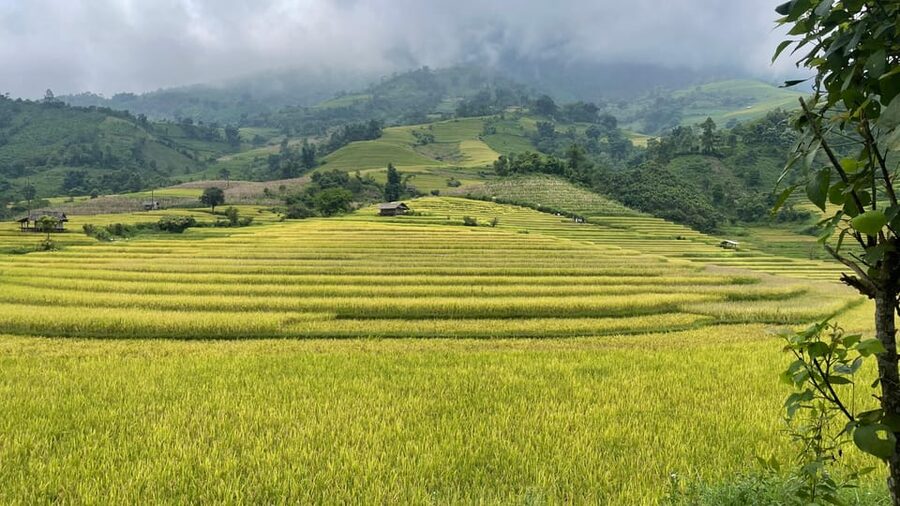 Sapa: Motorbike Tour 1 Day Visit Waterfalls & Local Villages - FAQ