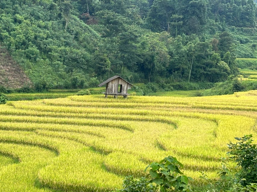 Sapa: Motorbike Tour 1 Day Visit Waterfalls & Local Villages - Who should book this Sapa motorbike tour?
