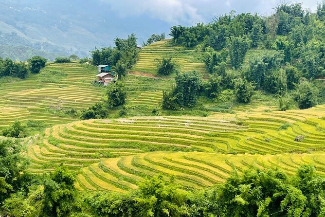 Sapa Motorbike Tour With Local Guide 1 Day - Waterfalls, Villages - Riding Yourself or Taking a Local Driver