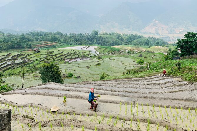 Sapa Motorbike Tour With Local Guide 1 Day - Waterfalls, Villages - Is $65 Good Value?