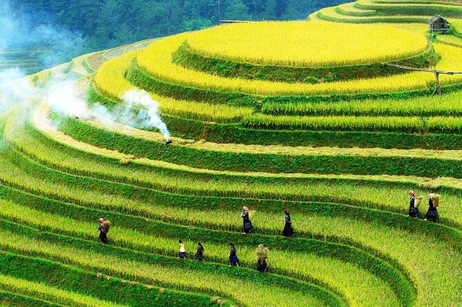 Sapa Muong Hoa Valley & Ta Van Eco Village Scenic Tour (No Trek) - Muong Hoa Valley without a full-day hike