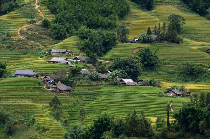 Sapa Muong Hoa Valley & Ta Van Eco Village Scenic Tour (No Trek) - FAQ