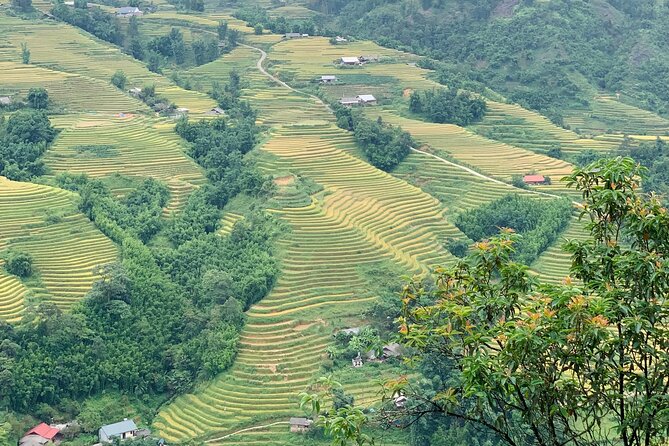 Sapa The Hidden Trail Trek 1 Day - Mountain & Rice Valley - Is this Sapa trek worth booking?