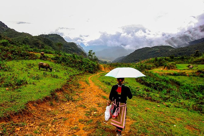 Sapa Valley Trek and Homestay - 3D2N - The guide can make the route