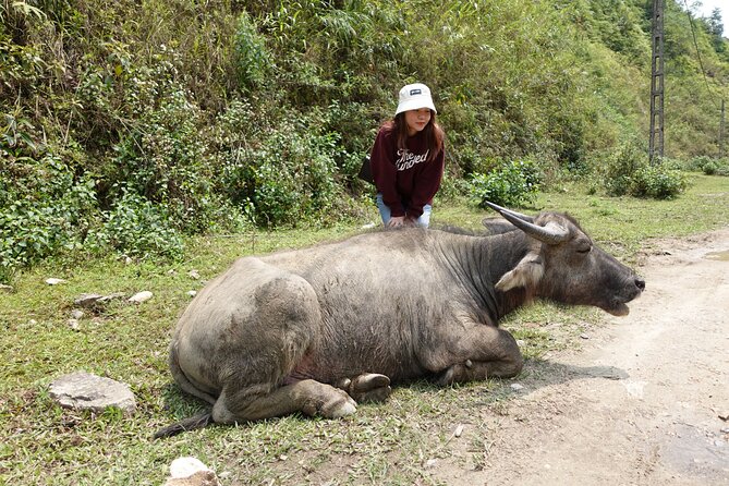 Sapa Valley Trek and Homestay - 3D2N - Should you book this Sapa trek?