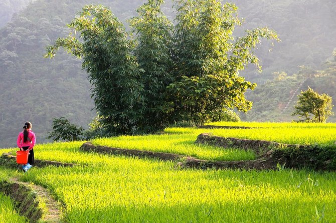 Sapa Valley Trek and Homestay - 3D2N - Day two: waterfalls, forest paths and Ban Ho