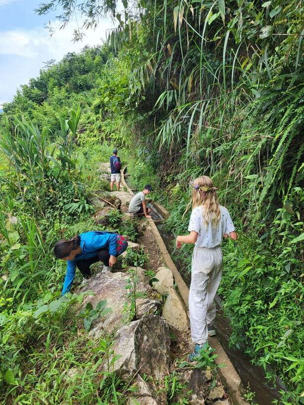 Trekking Sapa 1 Day With Local Guide, Terraced Rice Fields - From Sapa town to the Muong Hoa Valley