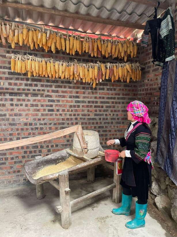 Trekking Sapa 1 Day With Local Guide, Terraced Rice Fields - Who should take this trek