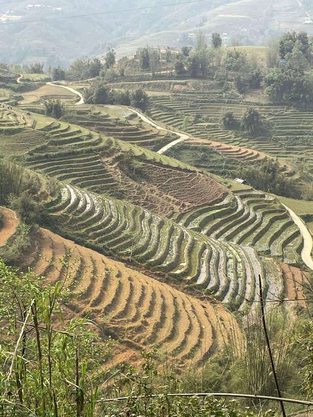 Trekking Sapa 1 Day With Local Guide, Terraced Rice Fields - Should you book it?