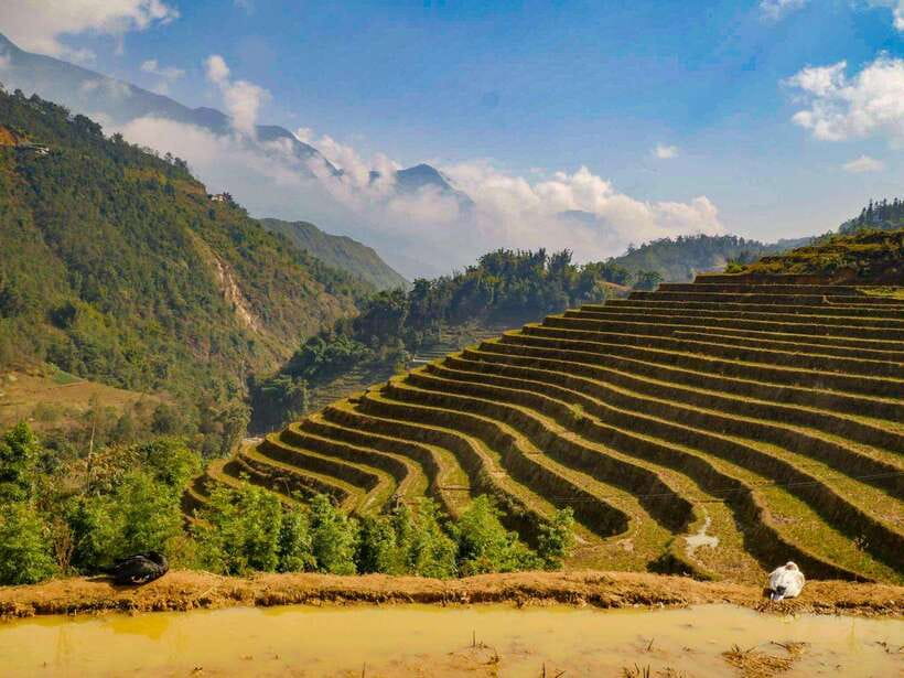 Trekking Sapa 1 Day With Local Guide, Terraced Rice Fields - Cat Cat and the first village views