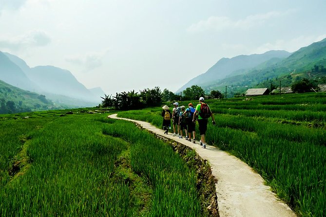 Trekking Through Rice Terraced Fields - 1Day - Starting out below Sapa