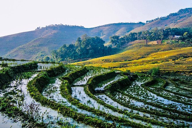 Trekking Through Rice Terraced Fields - 1Day - Ta Van: meeting the Giay community