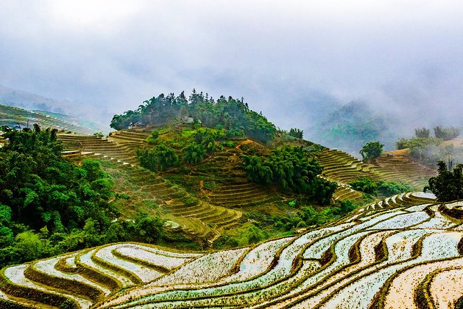 Trekking Through Rice Terraced Fields - 1Day - Lunch, water, and the ride back