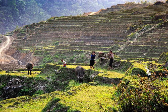 Trekking Through Rice Terraced Fields - 1Day - What the $45 price gets you