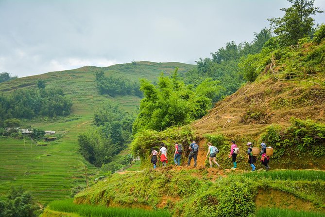 Trekking Through Rice Terraced Fields - 1Day - Lao Chai: a closer look at Black Hmong culture