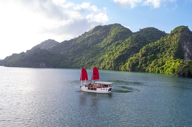 Unique Halong Private Day Cruise - Fishing Village, Kayak - Tien Ong Cave: limestone formations up close
